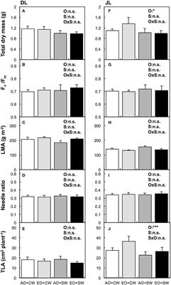 Salt Stress Reduced the Seedling Growth of Two Larch Species Under Elevated Ozone